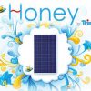 Trina honey logo