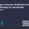 Energy Consumer Sentiment Survey