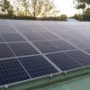Community solar in Port Macquarie