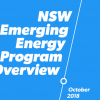 New South Wales Emerging Energy