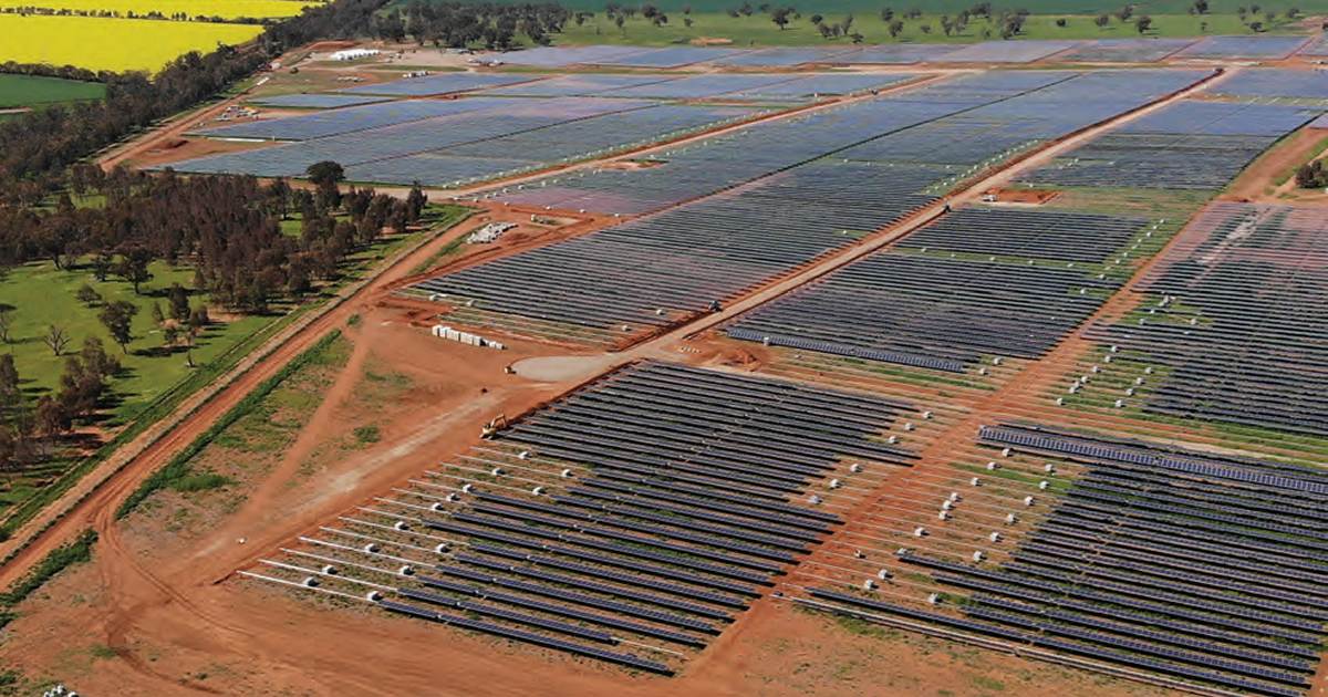 Coles and renewable energy