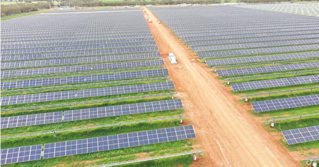Hillston Solar Farm Hits 100% Generation Ahead Of Schedule