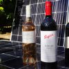 Treasury Wine Estates and solar power