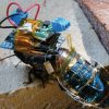 Solar powered cyborg cockroach