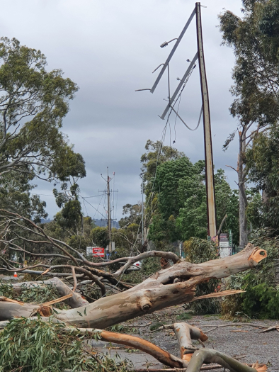 November South Australia storm electricity infrastructure damage