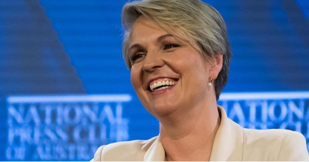 Plibersek Spruiks Australia's Renewables Superpower Potential