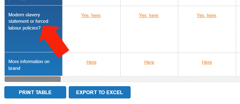 Modern slavery details