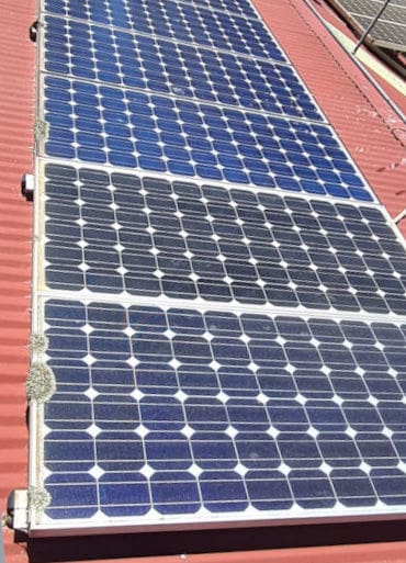 solar panels with lichen growing on them