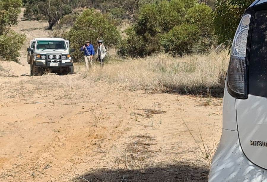 Car bogged in sand