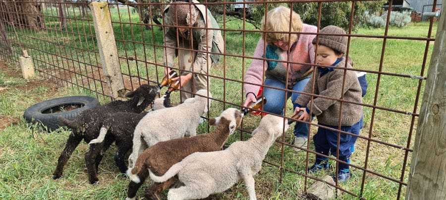 Bottle feeding in winter