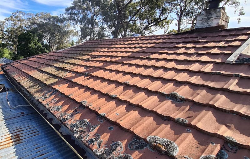 decromastic tin tile roof