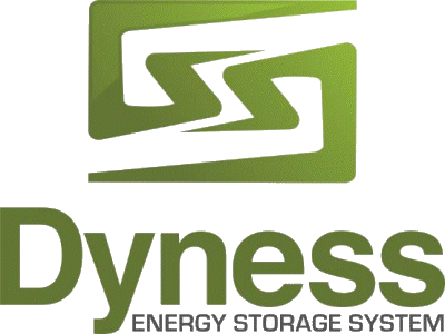 Dyness review