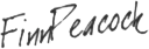 Finn's signature